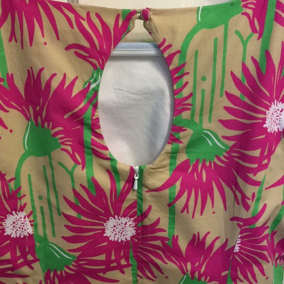 NWT Lilly Pulitzer Dress Size 2 - Picture 9 of 12